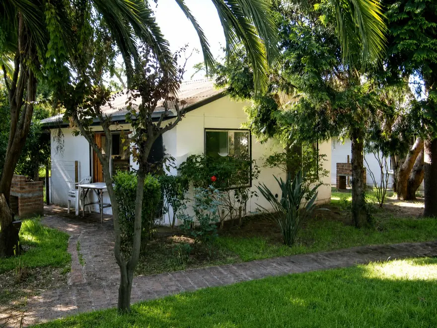 Cabaña entre árboles con terraza y mesa