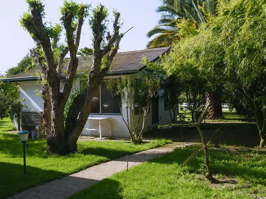 Cabaña rodeada de árboles y palmeras