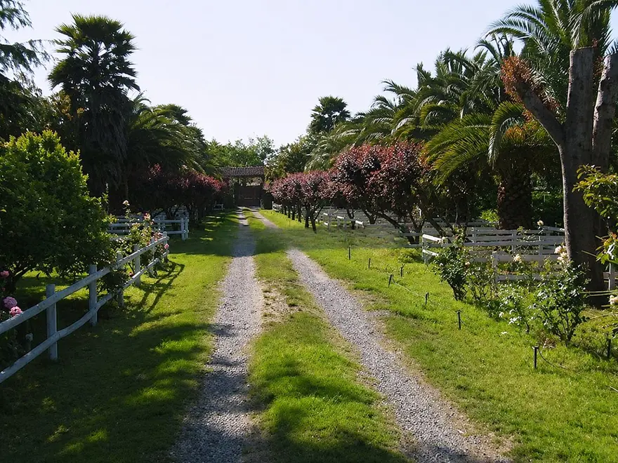 Camino de entrada con cercos blancos y rosas