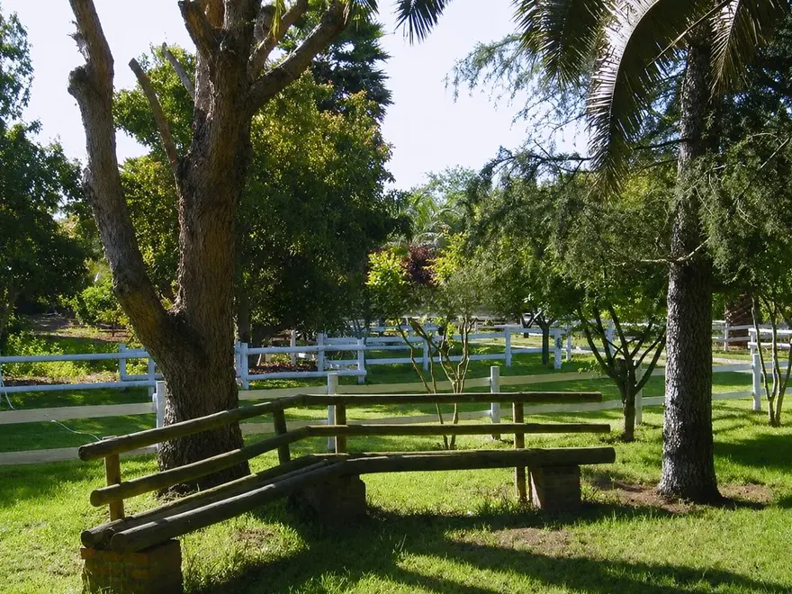 Sendero con cercos blancos y palmeras
