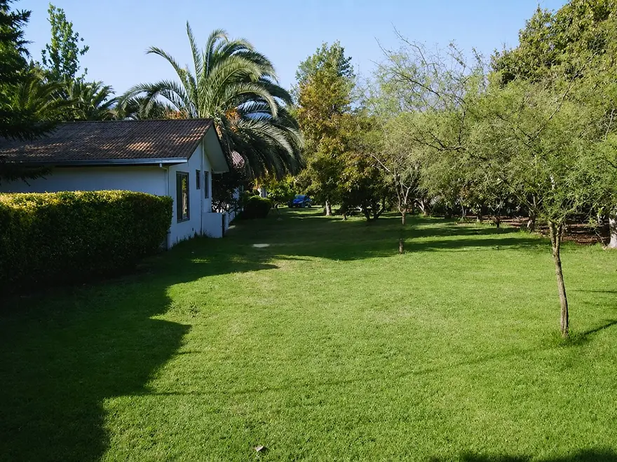 Césped junto a una cabaña