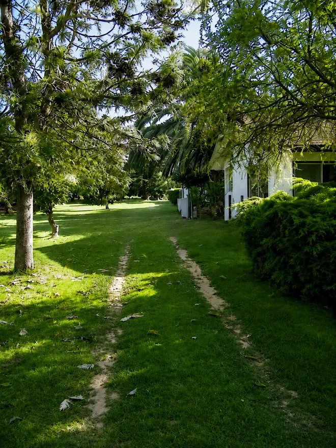 Parque con césped y árboles