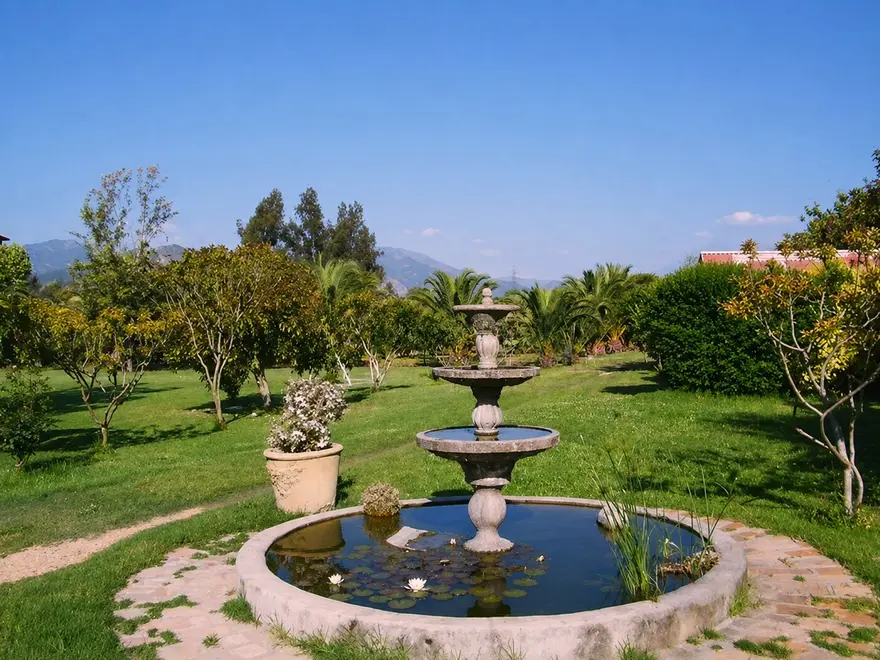 Fuente de agua rodeada de jardín