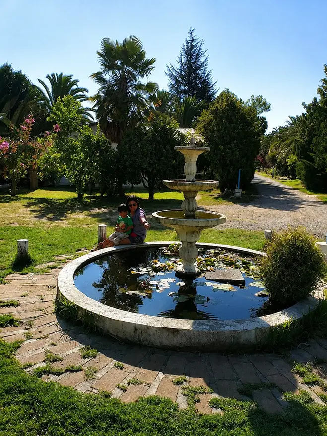Fuente de agua con nenúfares